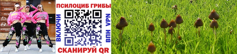 omg как войти  Макушино  Псилоцибиновые грибы мухоморы 